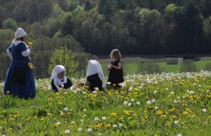 Mittelalterhaus Nienover - Auf der Wiese