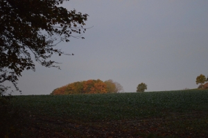 Mittelalterhaus Nienover (mit Daz grôze vrîe 1350) Okt. 2021
