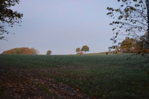 Mittelalterhaus Nienover (mit Daz grôze vrîe 1350) Okt. 2021