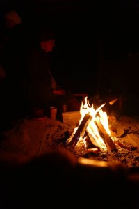 Frühjahrsbelebung Turmhügelburg Lütjenburg 2018