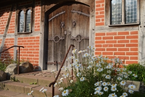 Turmhügelburg Lütjenburg Juni 2021