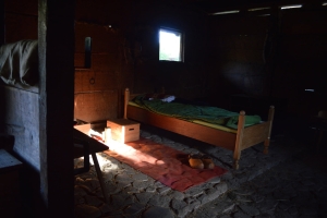 Turmhügelburg Lütjenburg Juni 2021