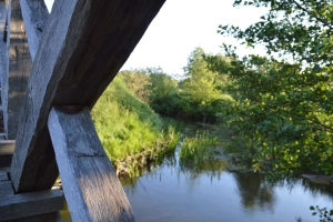 Turmhügelburg Lütjenburg Juni 2021