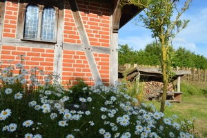 Turmhügelburg Lütjenburg Juni 2021