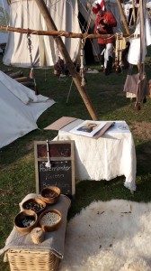 Burgmannentage Vechta 2016