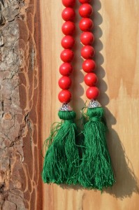 Burgmannentage Vechta 2017