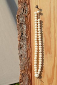 Burgmannentage Vechta 2017