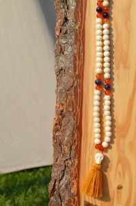 Burgmannentage Vechta 2017