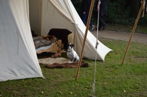 Burgmannentage Vechta 2017