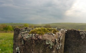 Mittelalterhaus 1230 - Wüstung Nienover